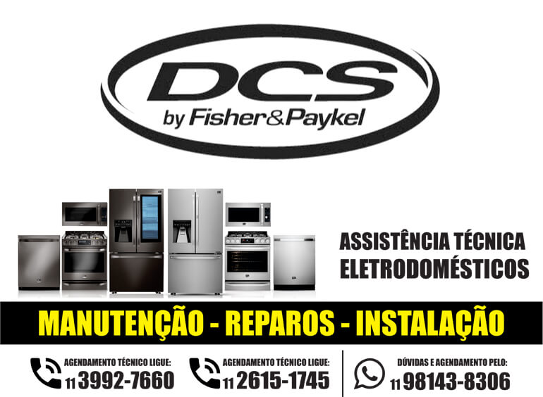 Dcs Info Assistência Técnica